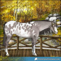 Horse Color:Platinum Liver Red Dun Near Leopard 