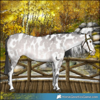 Horse Color:Platinum Brown Dun Sabino Leopard 