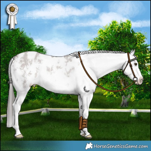 Horse Color:Platinum Liver Red Dun Sabino Appaloosa 