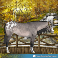 Horse Color:Platinum Brown Dun Varnish 