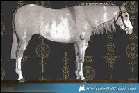 Horse Color:Platinum White Spotted Liver Red Dun Sabino Varnish 