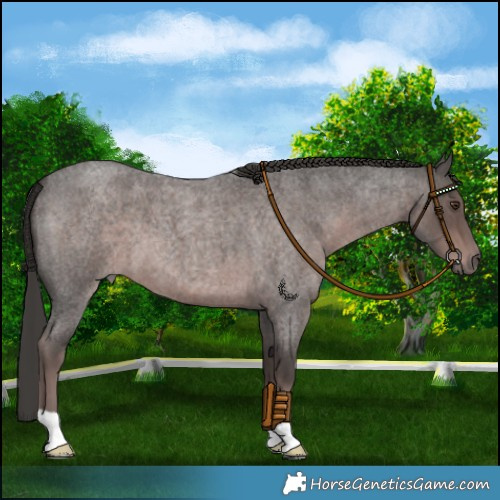 Horse Color:Platinum Liver Red Roan 