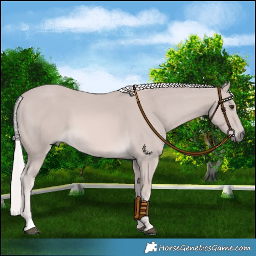Horse Color:Platinum Palomino
