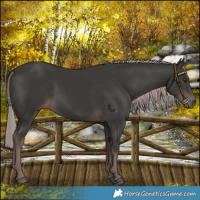 Horse Color:Platinum Liver Chestnut 