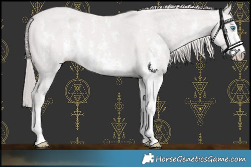 Horse Color:Platinum Smoky Creme Sabino 