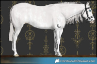 Horse Color:Platinum Smoky Creme Sabino 