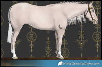 Horse Color:Platinum Gold Champagne 