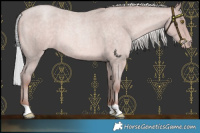 Horse Color:Platinum Silver Sable Champagne Roan 