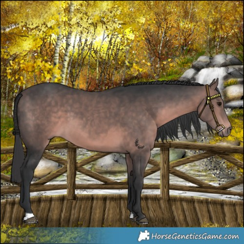 Horse Color:Platinum Bay 