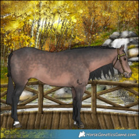 Horse Color:Platinum Bay 