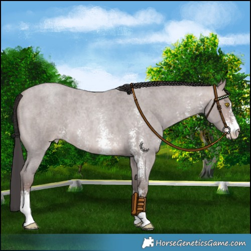 Horse Color:Platinum Sable Champagne Roan Sabino 