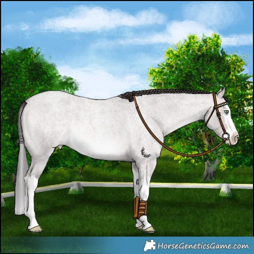 Horse Color:Platinum Sable Champagne Roan Dun Splash 
