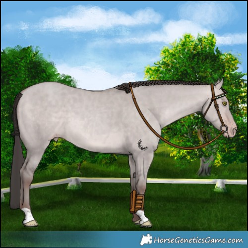 Horse Color:Platinum Sable Champagne Dun 