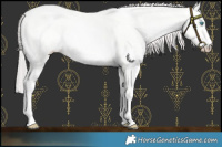 Horse Color:Platinum Perlino Sabino 