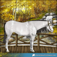 Horse Color:Platinum Sable Champagne Dun Sabino 