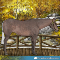 Horse Color:Platinum Silver Bay Rabicano 
