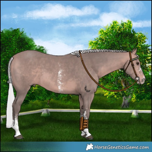 Horse Color:Platinum Silver Bay Sabino 
