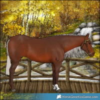 Horse Color:Silver Brown
