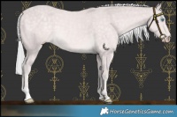 Horse Color:Platinum Silver Perlino 