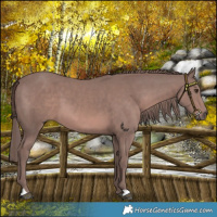Horse Color:Platinum Chestnut 