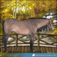 Horse Color:Platinum Bay 