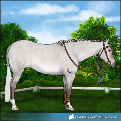 Horse Color:Platinum Silver Brown Roan Dun 