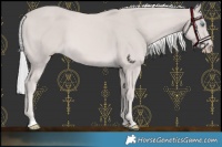 Horse Color:Platinum Silver Smoky Creme 