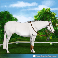 Horse Color:Platinum Smoky Creme Dun 