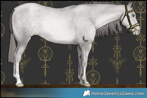 Horse Color:Platinum Smoky Black Pearl 