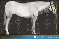 Horse Color:Platinum Smoky Black Pearl 