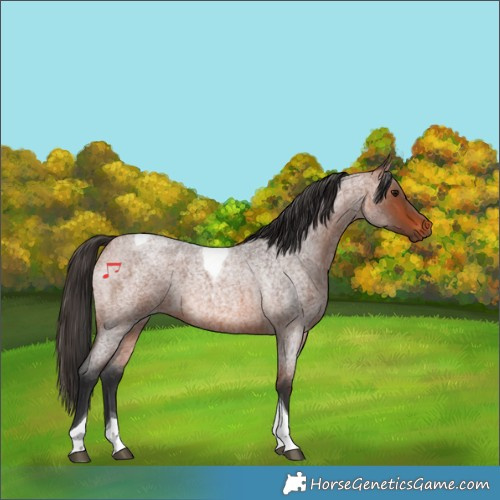 Horse Color:Bay Roan Tobiano