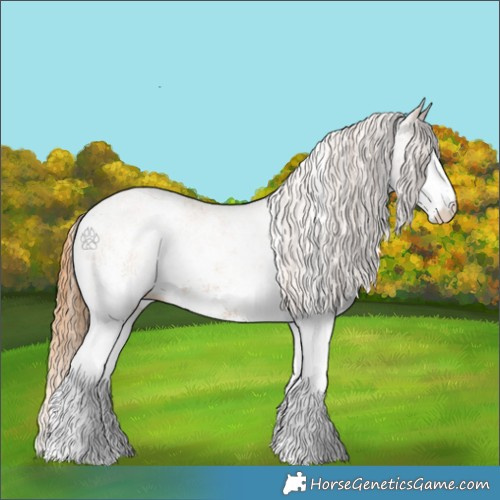 Horse Color:White Spotted Chestnut 