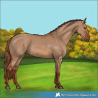 Horse Color:Red Dun