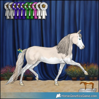 Horse Color:Perlino Splash
