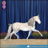 Horse Color:Perlino Splash 
