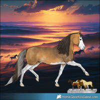 Horse Color:Buckskin Splash
