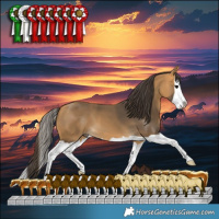 Horse Color:Buckskin Splash