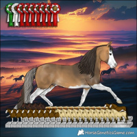 Horse Color:Buckskin Splash