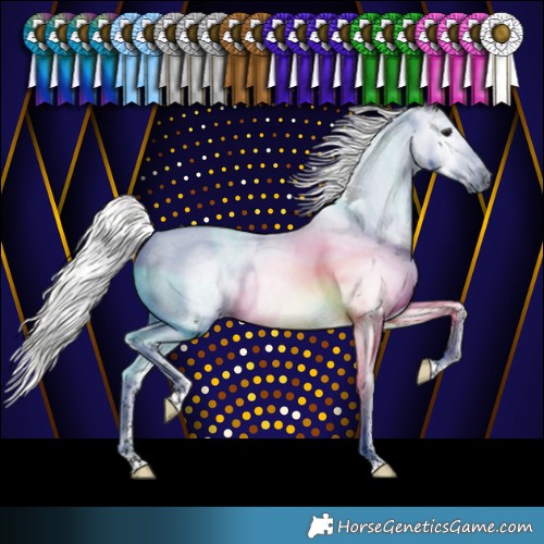 Horse Color:Gray Silver Buckskin Splash Tobiano Varnish 