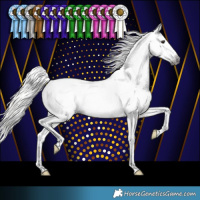 Horse Color:Gray Silver Buckskin Splash Tobiano Varnish 