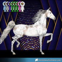 Horse Color:Gray Silver Buckskin Splash Tobiano Appaloosa