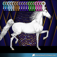 Horse Color:Gray Silver Buckskin Splash Tobiano Varnish 