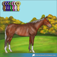 Horse Color:Silver Bay Rabicano 
