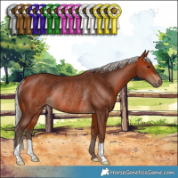 Horse Color:Silver Bay Rabicano