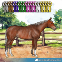 Horse Color:Silver Bay Rabicano