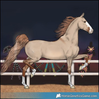 Horse Color:Red Dun 