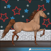 Horse Color:Red Dun 