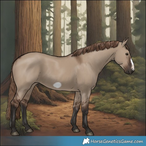 Horse Color:Liver Red Dun Frame 