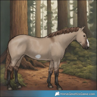 Horse Color:Liver Red Dun Frame 