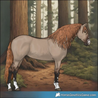 Horse Color:Liver Red Dun 